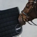 Embroidered Saddle Pad - Black